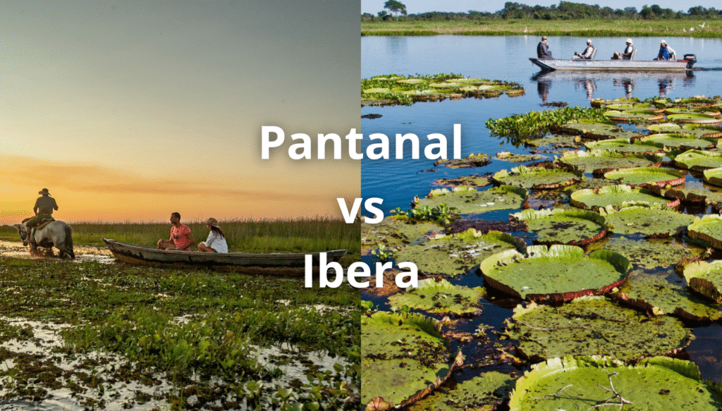 pantanal vs ibera